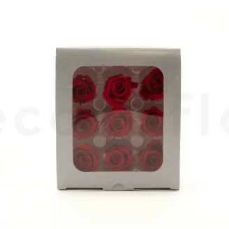 Rosa stabilizzata M Rosso vivo (x9)
