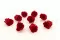 Preserved Rose M Red (x9) 5