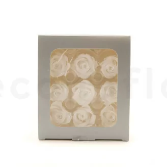 Rosa stabilizzata M Bianco (x9)