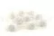 Preserved Rose M White (x9) 5