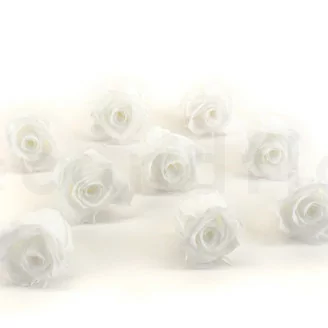 Rosa stabilizzata M Bianco (x9)