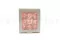Rose stabilis&eacute;e M Bridal Pink (x9) 6