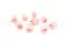 Rosa preservada M Bridal Pink (x9) 4