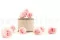 Rose stabilis&eacute;e M Bridal Pink (x9) 5