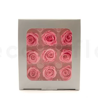 Preserved Rose M Baby Pink (x9)
