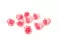 Rosa preservada M Baby Pink (x9) 4