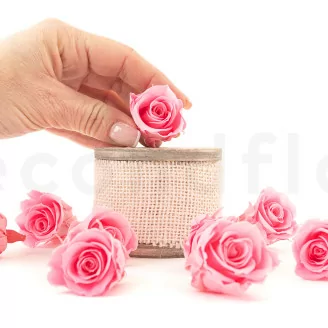 Konservierte Rose M Baby Pink (x9)