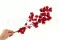 Getrocknete Bougainvillea Rot 6