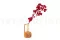 Dried Bougainvillea Red 3