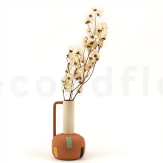 Bougainvillea essiccato Crema