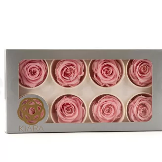 Rose stabilis&eacute;e L Bridal Pink (x8)