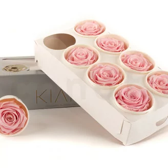 Rose stabilis&eacute;e L Bridal Pink (x8)