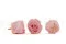 Rose stabilis&eacute;e L Bridal Pink (x8) 5