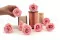 Preserved Rose L Bridal Pink (x8) 4