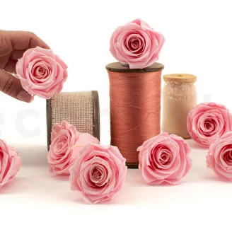 Rose stabilis&eacute;e L Bridal Pink (x8)