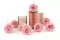 Rosa stabilizzata L Bridal Pink (x8) 7