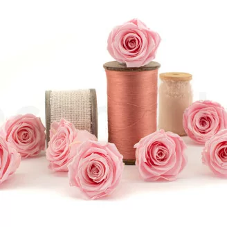Rose stabilis&eacute;e L Bridal Pink (x8)