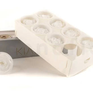Preserved Rose L White (x8)