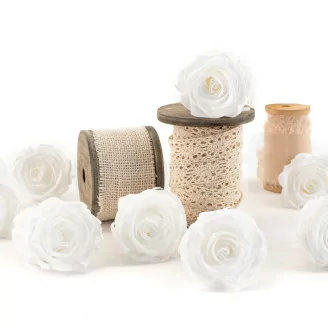 Rosa stabilizzata L Bianco (x8)