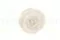 Rose stabilis&eacute;e L Blanc (x8) 6