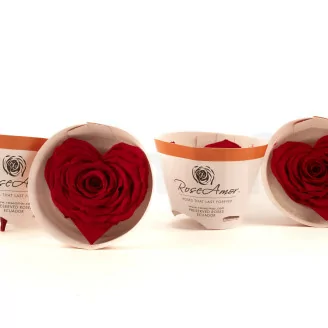 Preserved Heart Shaped Rose Red (x4)