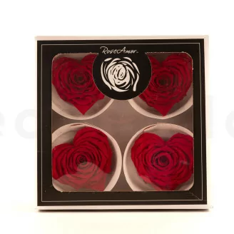 Konservierte Rosenherz Rot (x4)