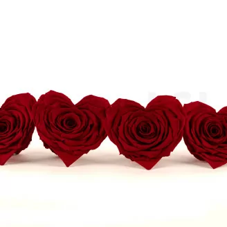 Rosa stabilizzata a Forma di Cuore Rosso (x4)