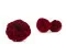 Rosa stabilizzata Kabukiza Rosso (x3) 6