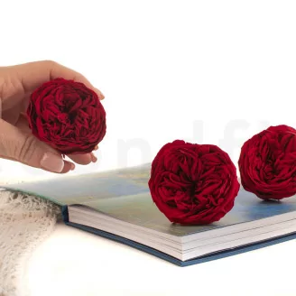 Rosa stabilizzata Kabukiza Rosso (x3)