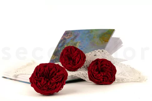 Konservierte Rose Kabukiza Rot (x3)