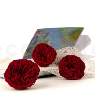 Rosa stabilizzata Kabukiza Rosso (x3)