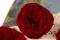 Rosa stabilizzata Kabukiza Rosso (x3) 2