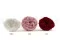 Preserved Kabukiza Rose White (x3) 8