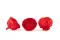 Renoncule stabilis&eacute; Rouge (x9) 3