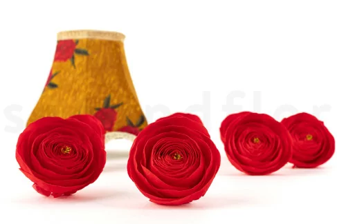 Renoncule stabilis&eacute; Rouge (x9)