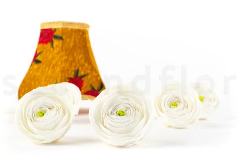 Preserved Ranunculus White (x9)