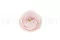 Renoncule stabilis&eacute; Rose (x9) 7