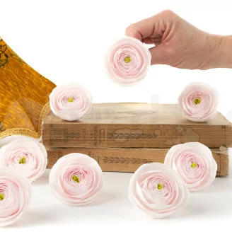 Preserved Ranunculus Pink (x9)