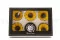 Preserved Sunflower (x6) 12