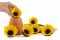 Girasole stabilizzato (x6) 5