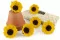 Girasole stabilizzato (x6) 1
