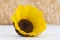 Preserved Sunflower (x6) 7