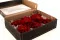 Dalia stabilizzata Rosso (x8) 3