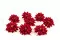 Dalia preservada Rojo (x8) 6