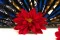 Preserved Dahlia Red (x8) 2