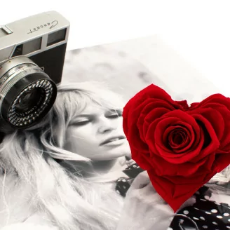 Rose stabilis&eacute;e Forme C&oelig;ur XXL Rouge