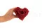 Rose stabilis&eacute;e Forme C&oelig;ur XXL Rouge 3