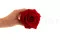 Rosa stabilizzata XXL Rosso 3