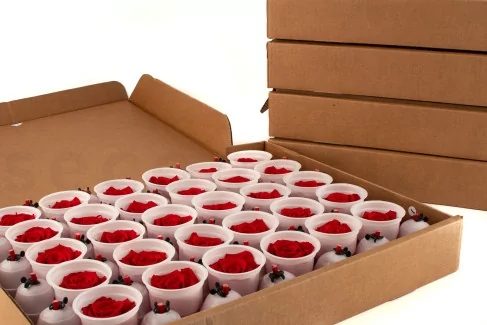 Rosa stabilizzata XL Rosso - Grande formato (x378)