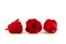 Preserved Rose XL Red - Bulk (x432) 3